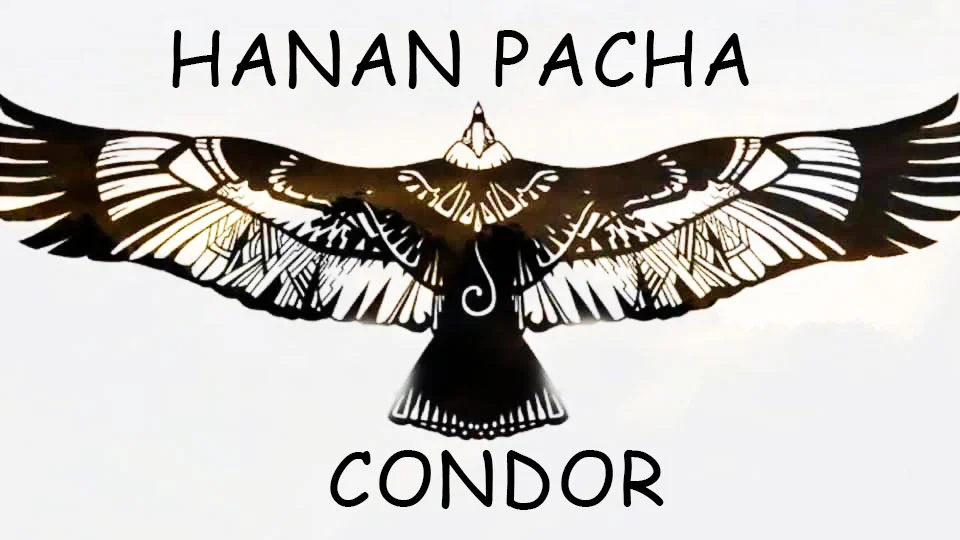 The Condor in the Andean Trilogy