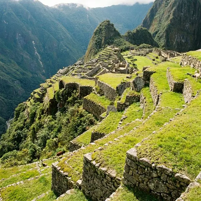 Vista de los Andenes Superiores en el Circuito 1 de Machu Picchu