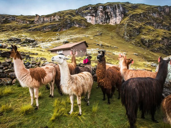 tour-valle-sagrado-chinchero
